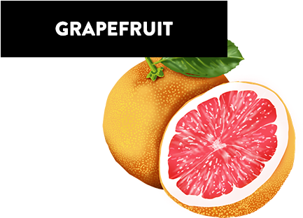 Grapefruit - Arte Fiera (457x322), Png Download
