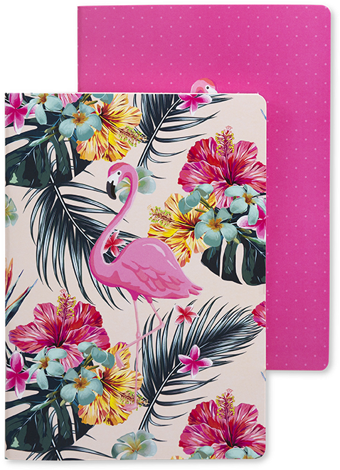 Go Stationery Palm Springs A5 Notebooks [set Of 2] - Agenda Flamingo 2019 (800x800), Png Download