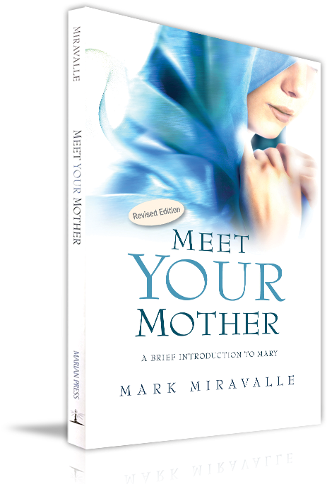 Meet Your Mother - Meet Your Mother Mark Miravalle (500x684), Png Download