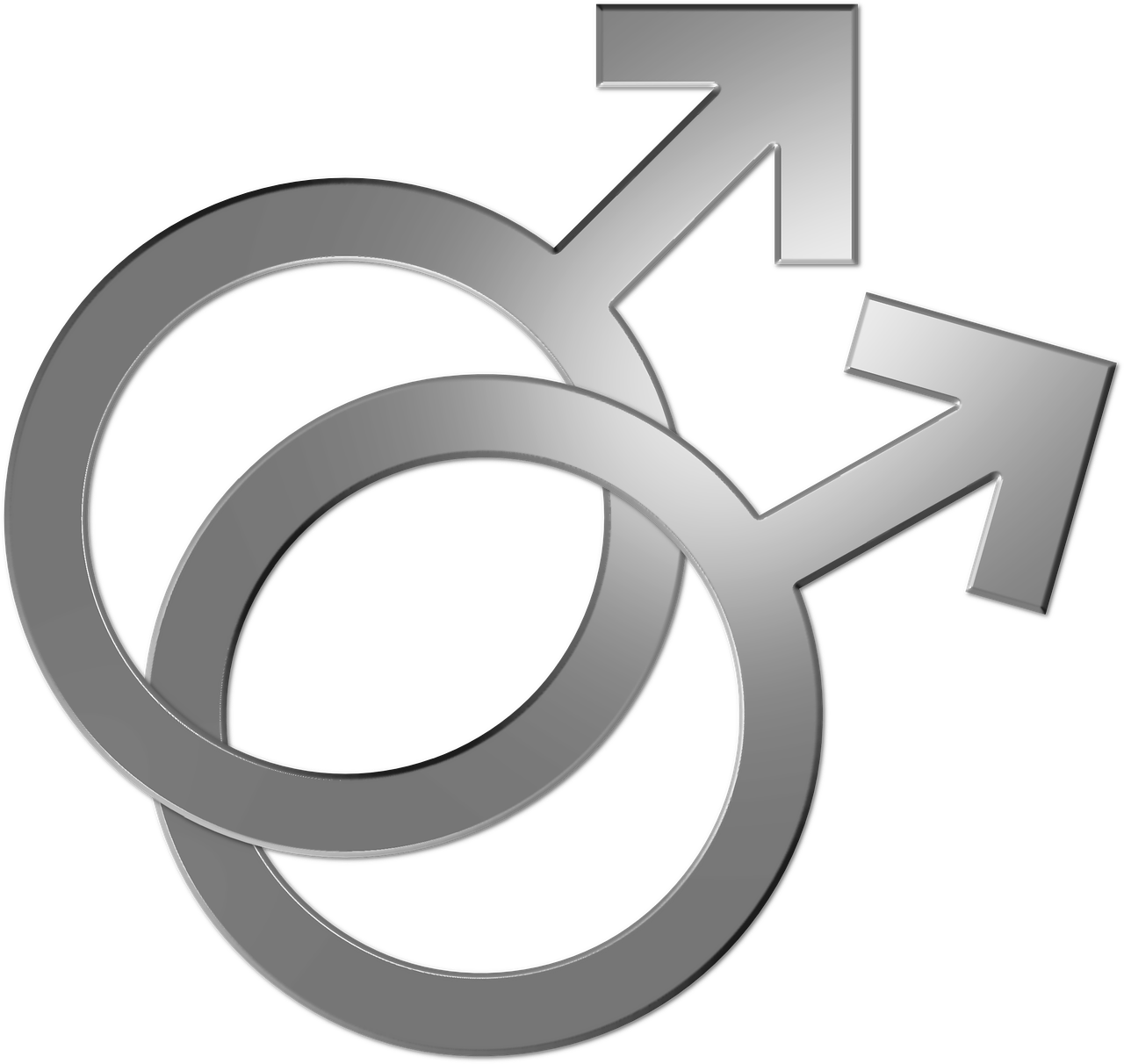 Wedding, Gay Symbol Couple Marriage Lgbt Pride Homo - สัญลักษณ์ Gay (1280x1212), Png Download