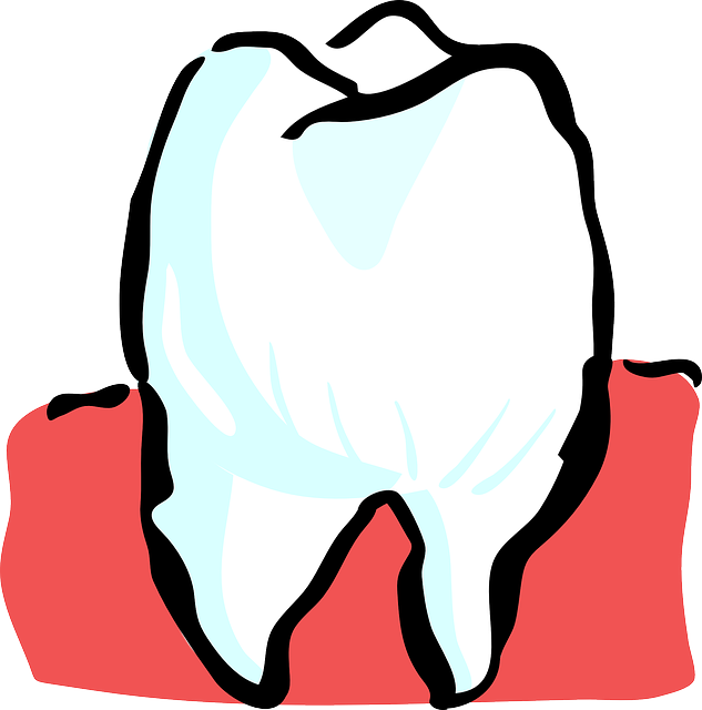Healing Brushing Teeth Clipart - Tooth Parts Of The Body (633x640), Png Download
