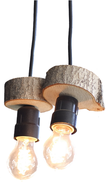 Light Lamps Light Bulbs Wood Slices Isolated - Wood Light Png (545x720), Png Download
