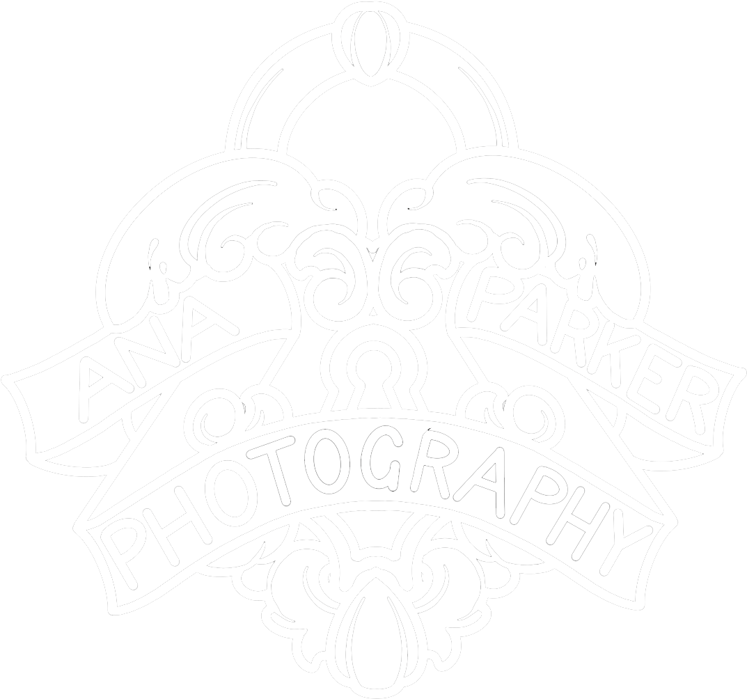 Ana Parker Algarve Wedding Photographer Ana Parker - Illustration (1205x1151), Png Download