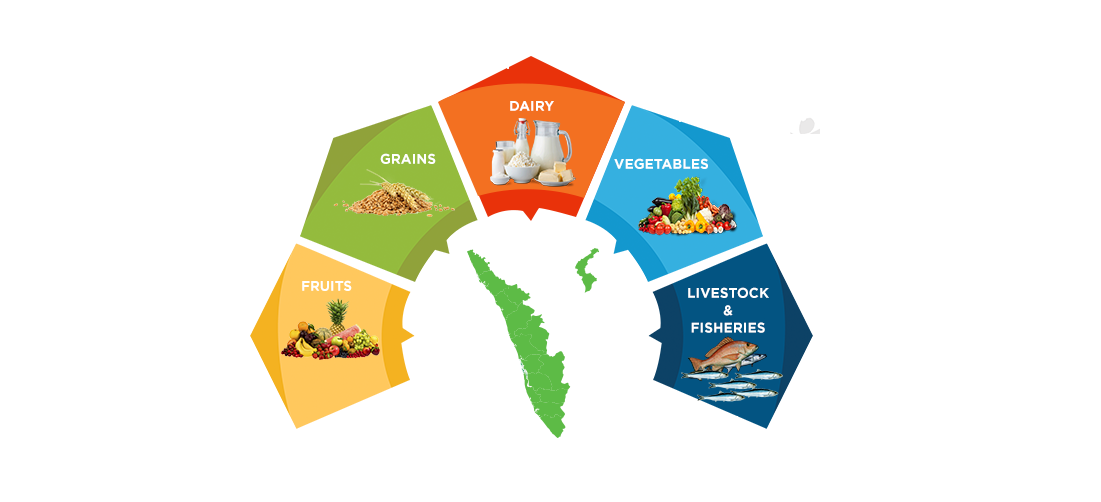 Key Production Statistics - Food Industries In Andhra Pradesh (1366x711), Png Download