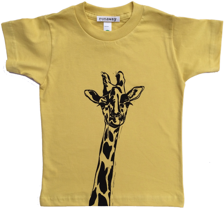 Rcd2 (900x900), Png Download