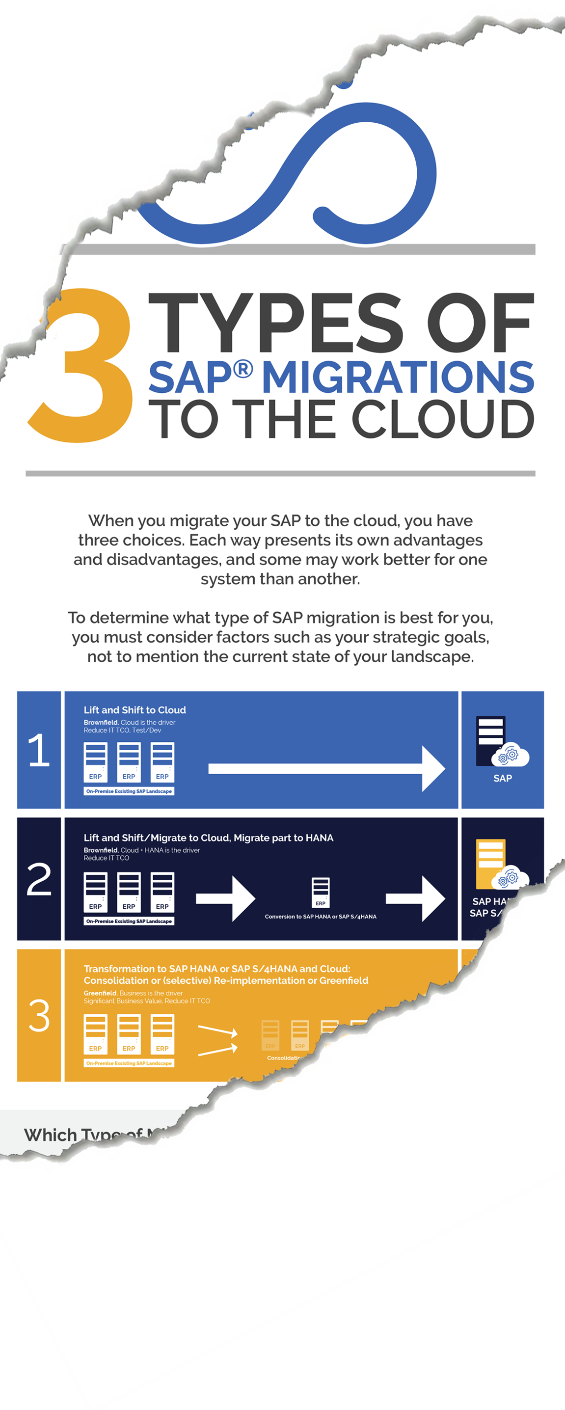 Infographic Form 3 Types Of Sap Migrations To The Cloud - Poster (1151x2872), Png Download