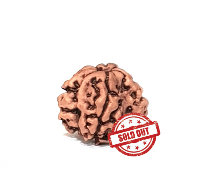 Chocolate (700x850), Png Download