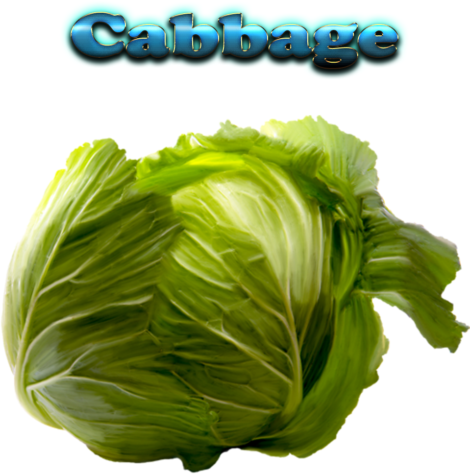 Cabbage Free Download Png - Cabbage With Name (1920x1200), Png Download