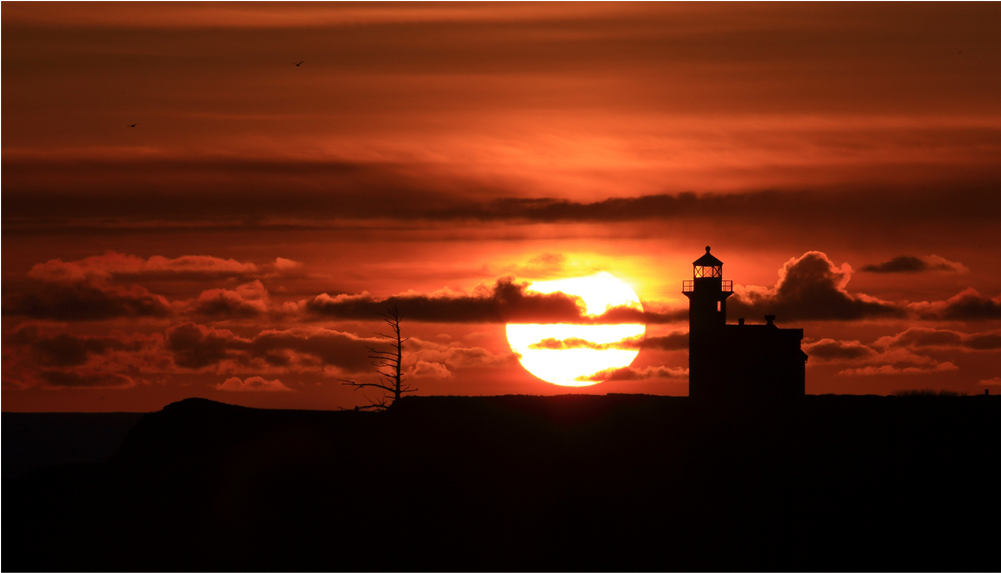 Score 50% - Wallpaper (1000x1000), Png Download