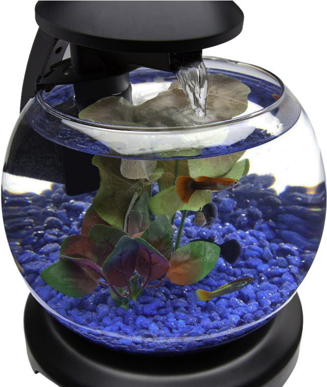 Glob Aquarium Fish Tank Png Transparent Image - Aquarium Design (1024x768), Png Download