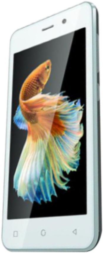 Zen Admire Thrill - Macaw (400x891), Png Download