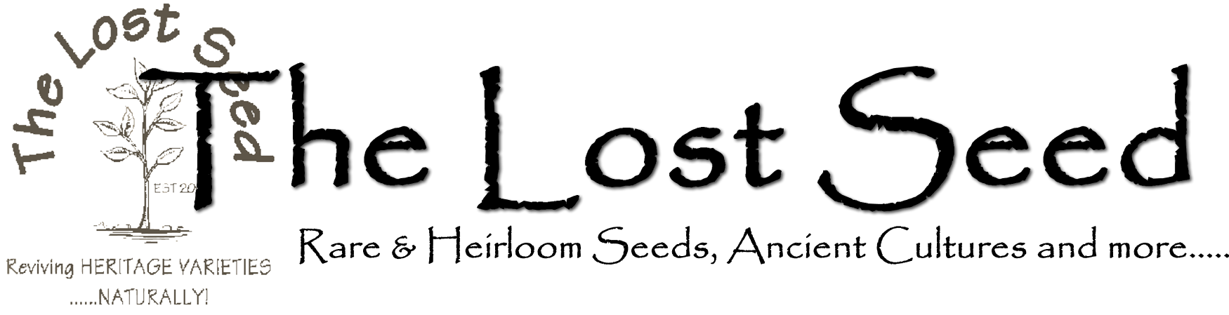 Calligraphy (1898x483), Png Download