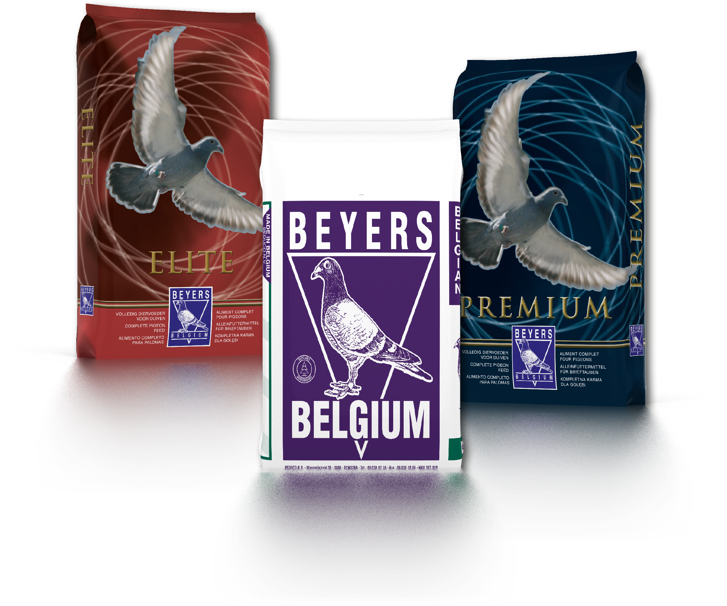 Beyers Pigeon Feed (2362x2224), Png Download