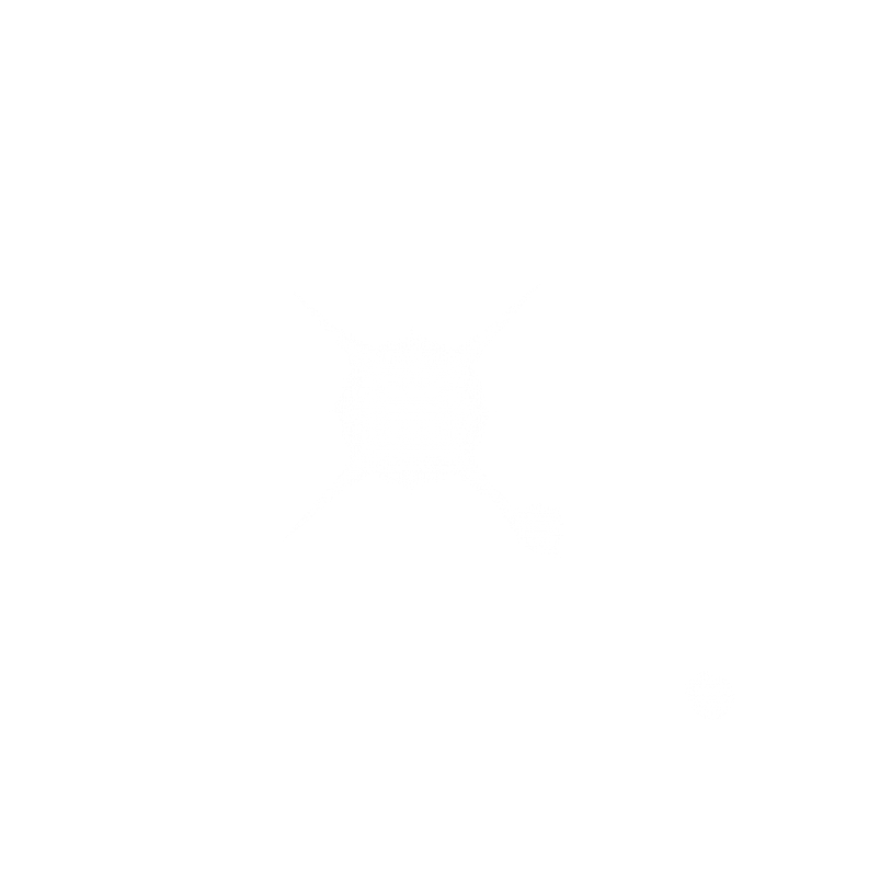 Free Png Download Light Effect Transparent Clipart - Anthem Game Logo White (850x849), Png Download