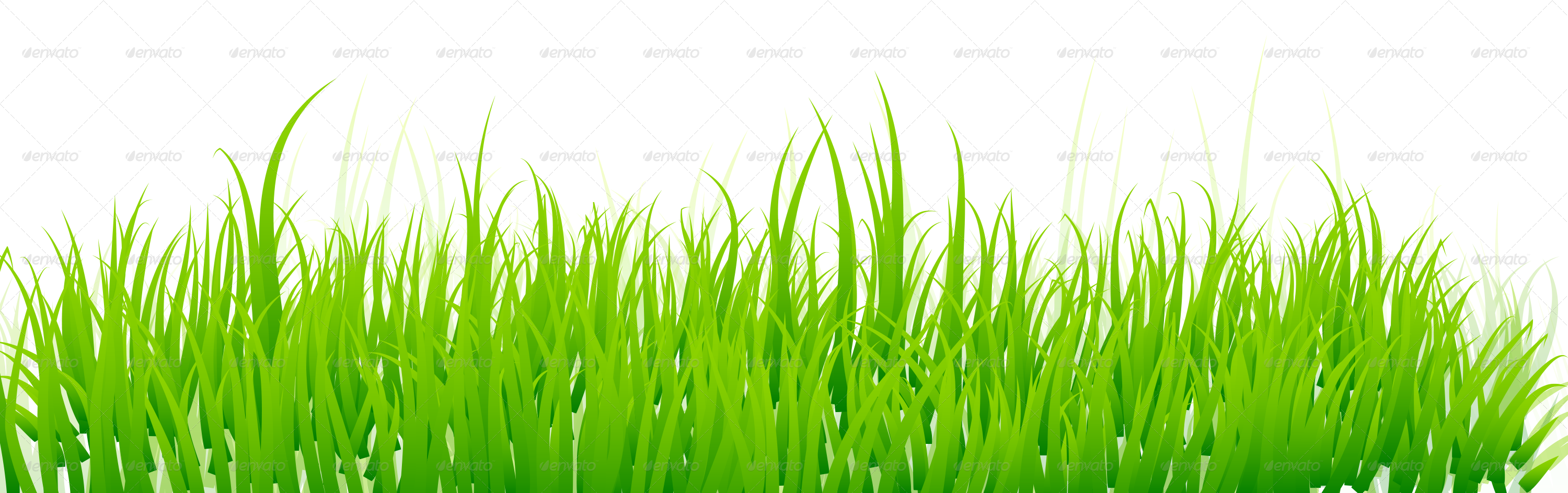 Conceptual Vectors - Green Grass White Background (3000x944), Png Download