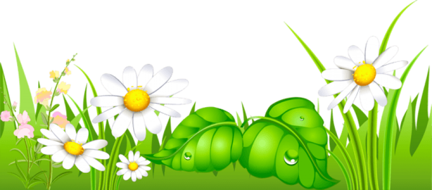 Free Png Download Grass With Daisies Ground Png Images - Happy New Year 2019 Odia (850x374), Png Download