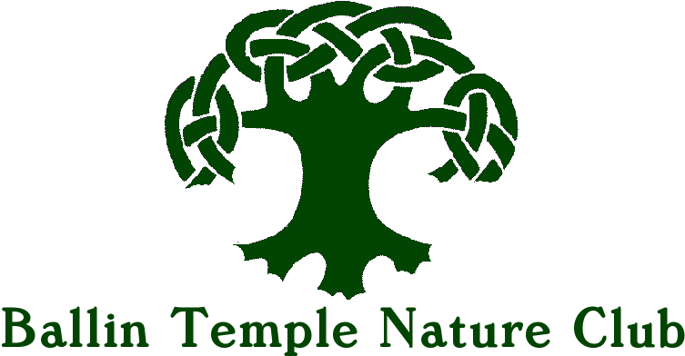 Live - Tree Of Life (763x407), Png Download