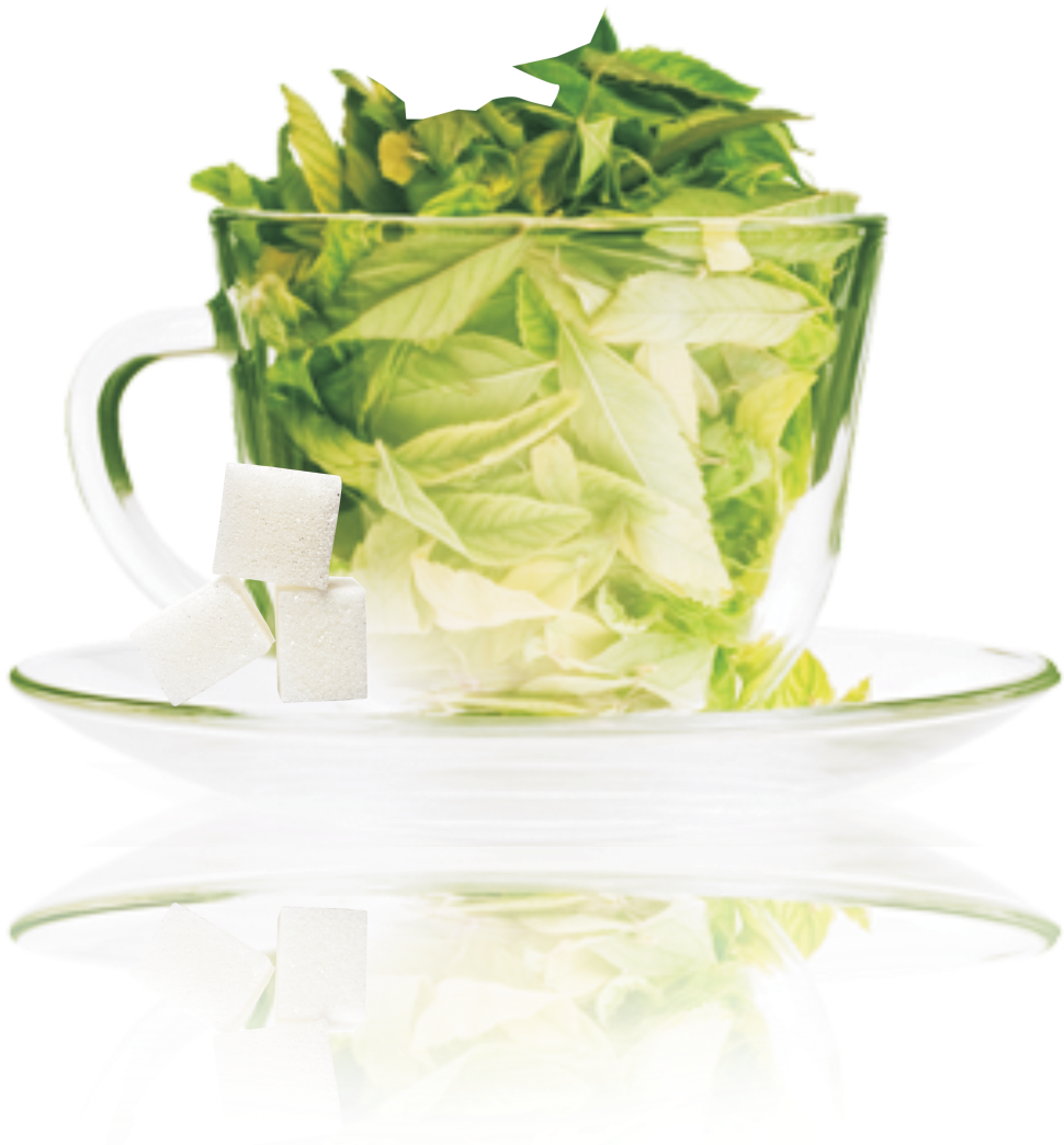 Stevia Green Tea (1024x1315), Png Download