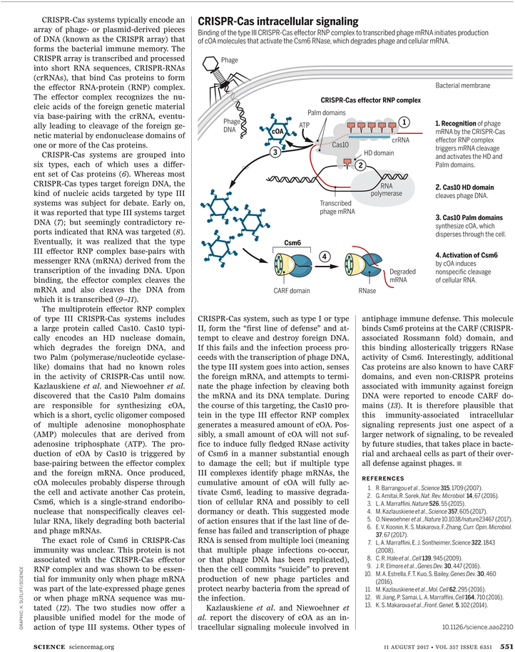 Document (765x974), Png Download