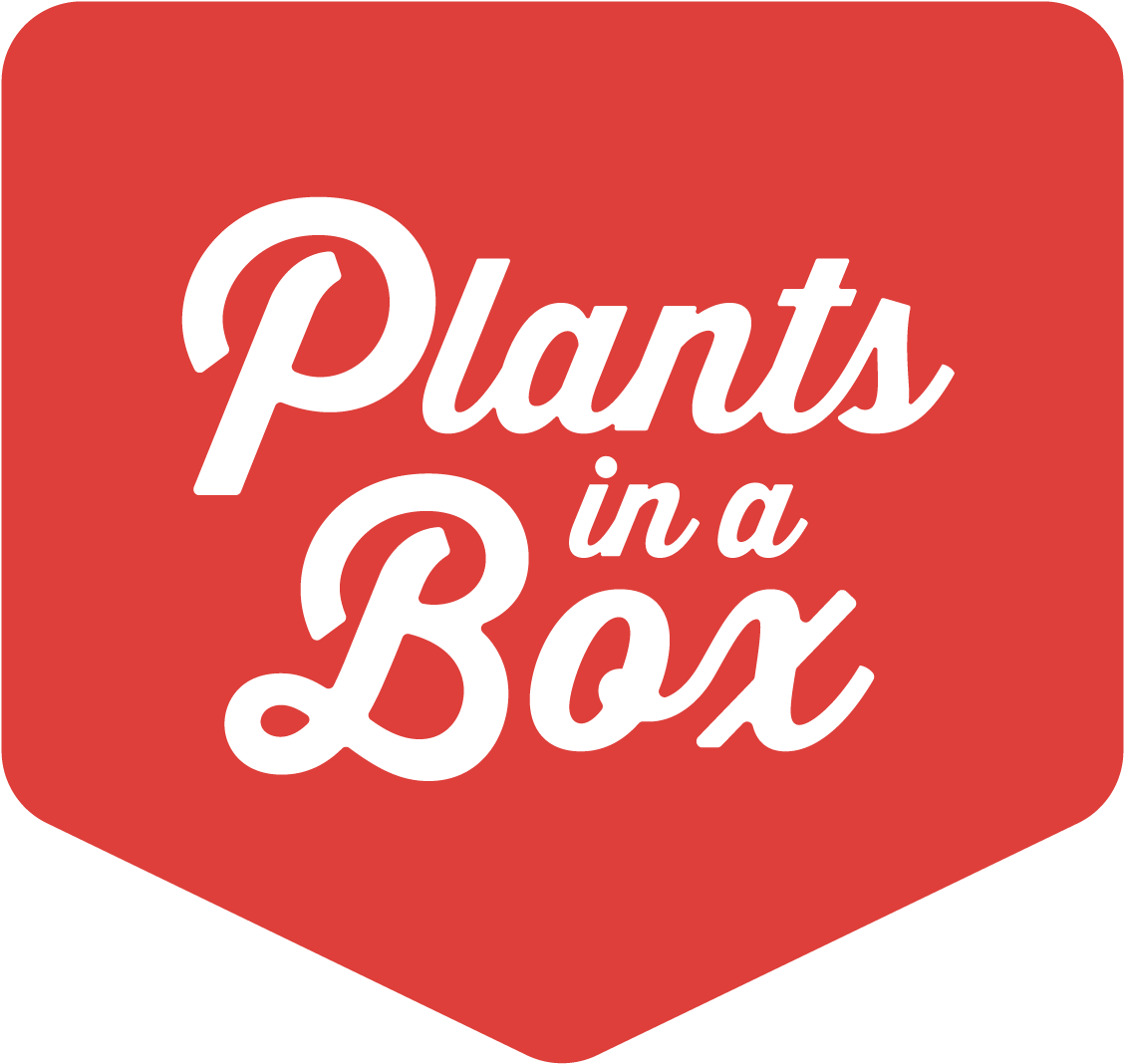 Digit10 (1200x1200), Png Download