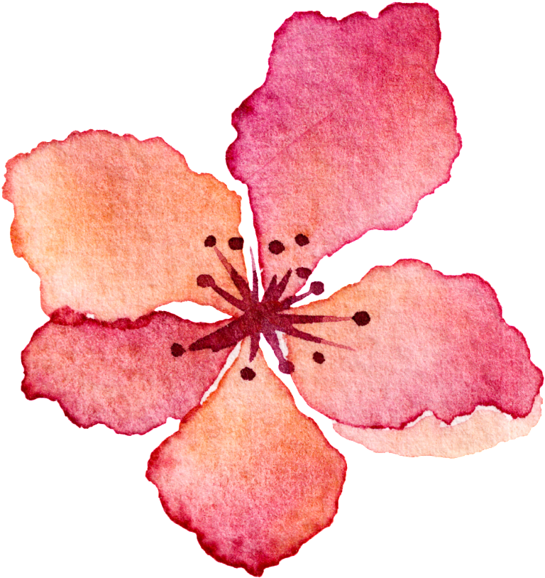 Pink Flower Watercolor Hand Drawn Cartoon Transparent - Flores De Acuarela Png (1024x1024), Png Download