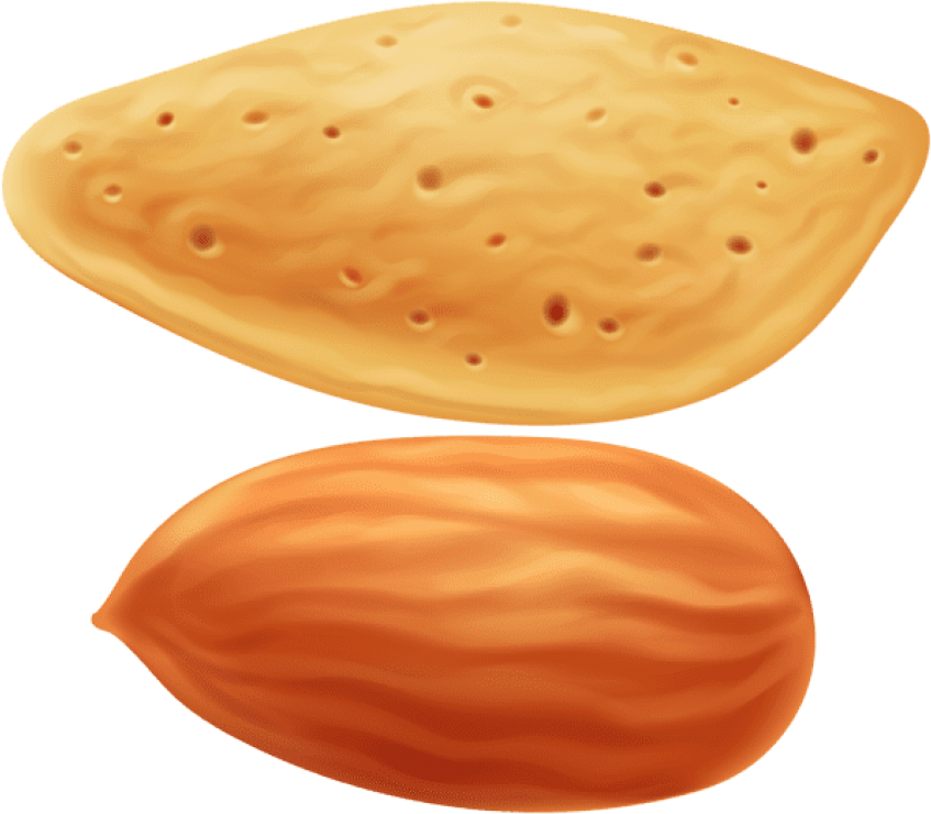 Free Png Download Almond Transparent Clipart Png Photo - Clipart Almonds Png (850x751), Png Download