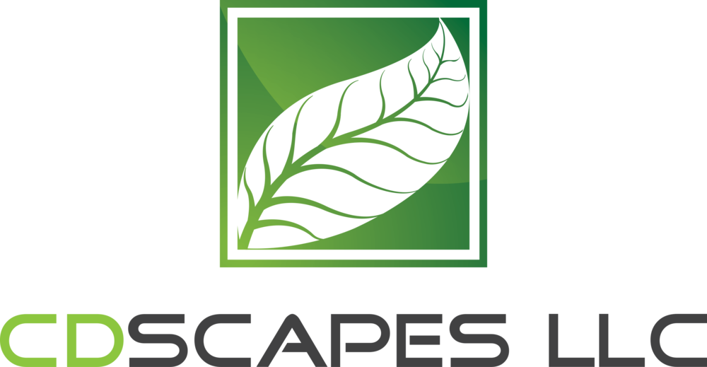 Cd Scapes Llc Logo (1000x519), Png Download