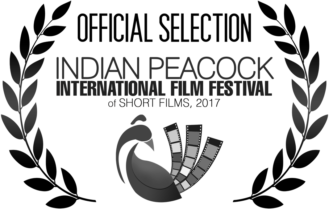 Durban Film Festival Logo (1100x678), Png Download