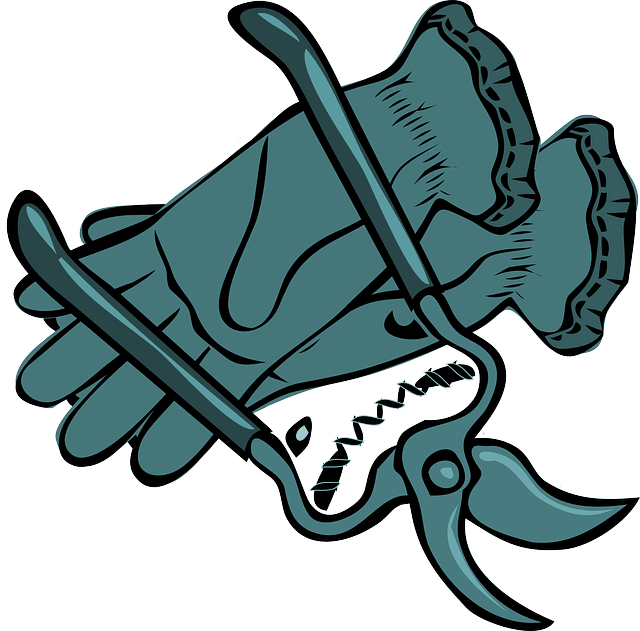 The Finest Cut - Free Garden Gloves Clipart (640x631), Png Download