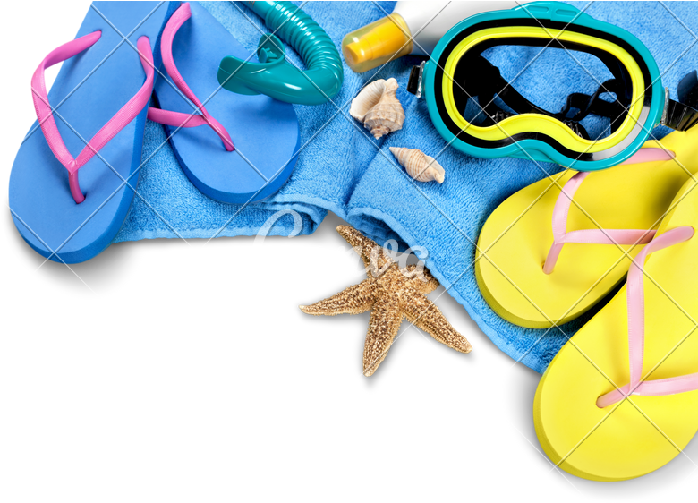 Flip-flops, Towel, Sun Cream, Diving Mask And Seashells - Marine Invertebrates (780x562), Png Download