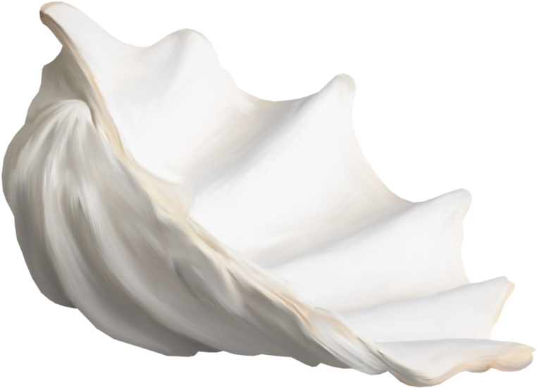 Фотки Shell Animals, Nautical, Scrapbook, Water, Sea - Conch (1024x768), Png Download