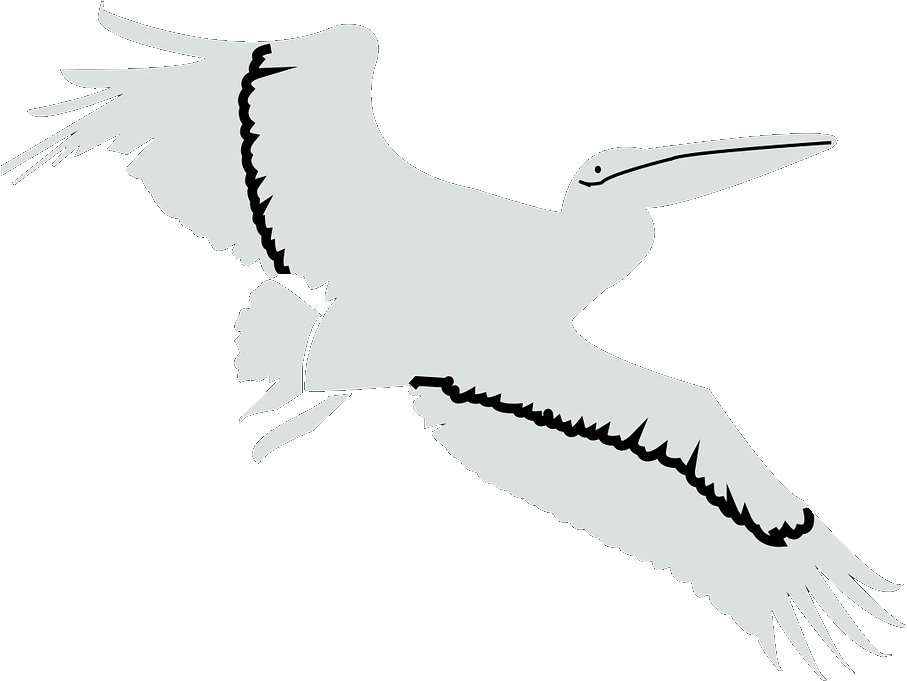 Flying Pelican - White Stork (915x720), Png Download