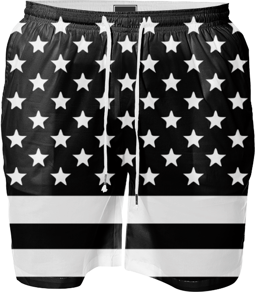 Black And White Usa Flag - European Central Bank (533x621), Png Download