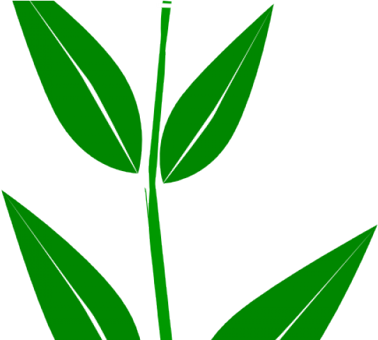 Clip Art (640x480), Png Download