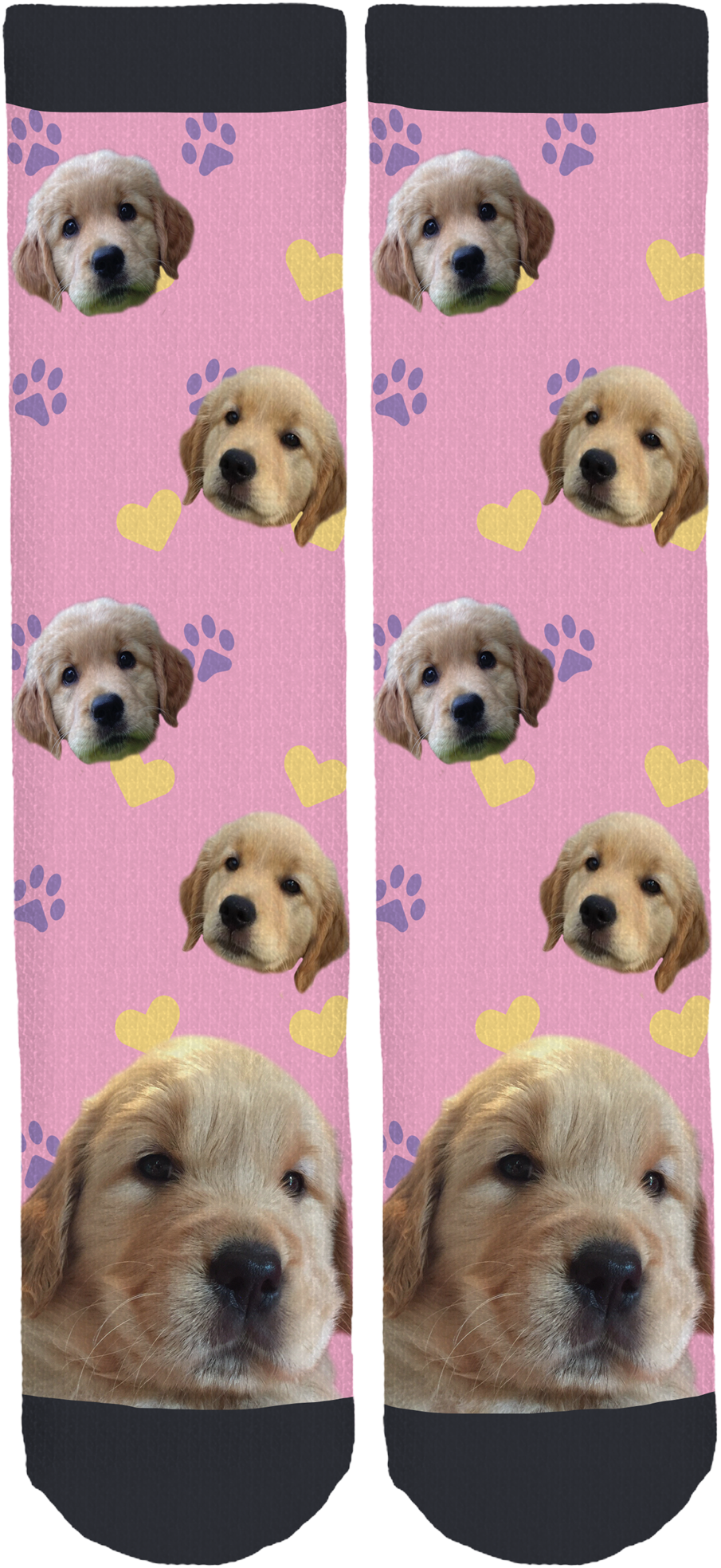 Labrador Retriever (950x2000), Png Download