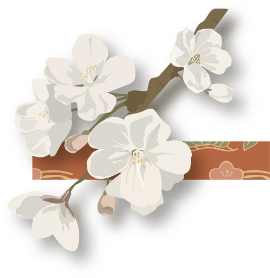 Cherry Blossom (640x558), Png Download