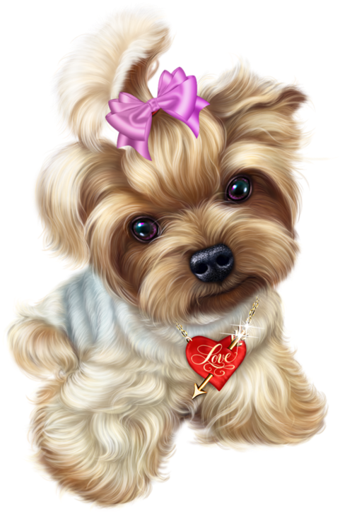 Puppy Chiot Tubes Chiots Cute Puppies Animal Amour - Yorkie Valentine Animated (600x724), Png Download