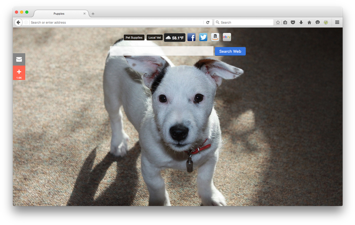 Puppies New Tabby Brand Thunder, Llc - Perros Yaruser (700x445), Png Download