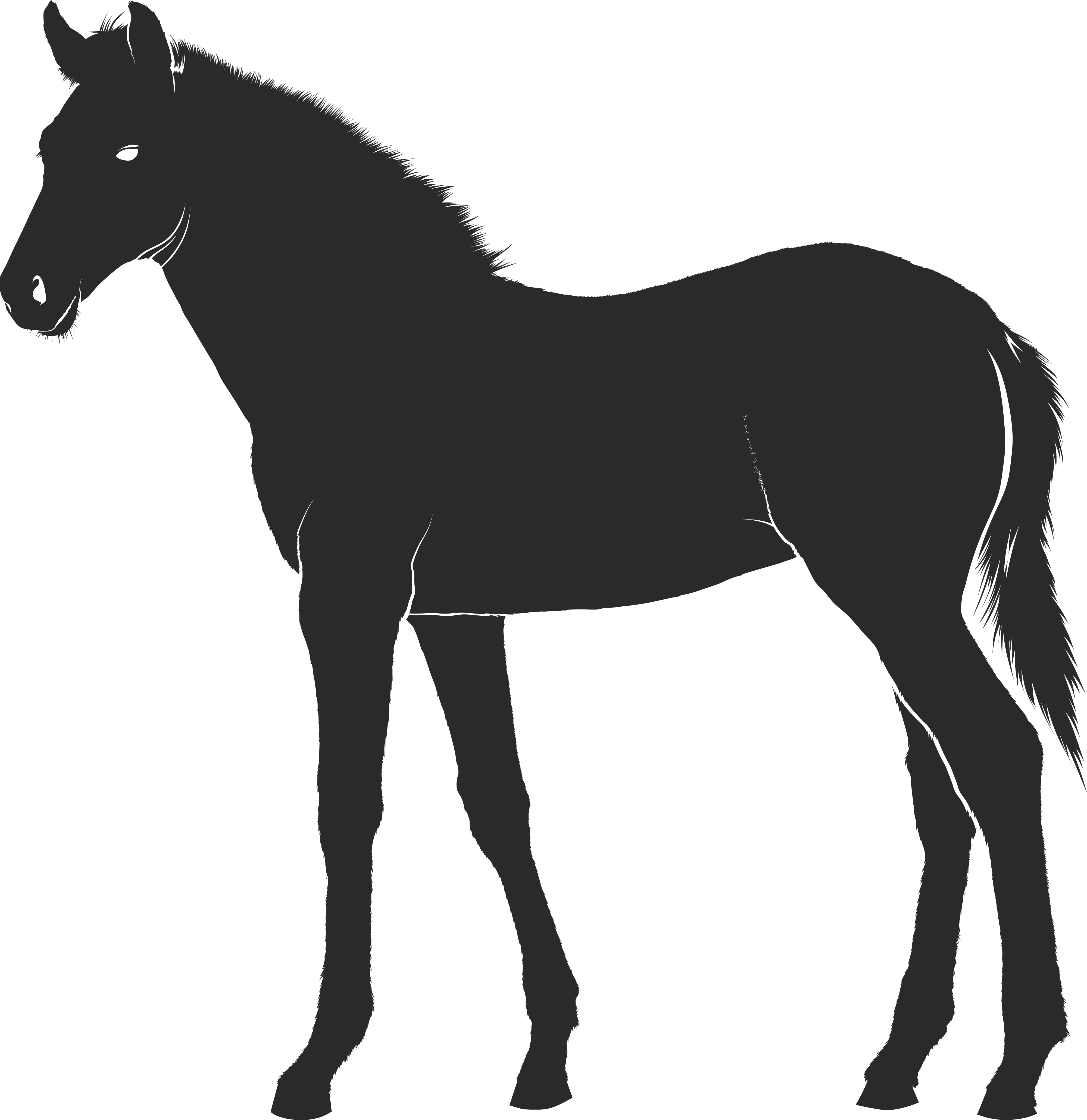 Free Clipart Of A Horse - French Mastiff Silhouette (4000x4122), Png Download