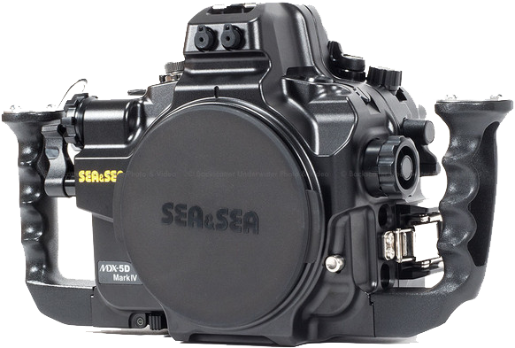 Canon Eos 5d Mark Iv Png File - Canon 5d Mk4 (600x600), Png Download