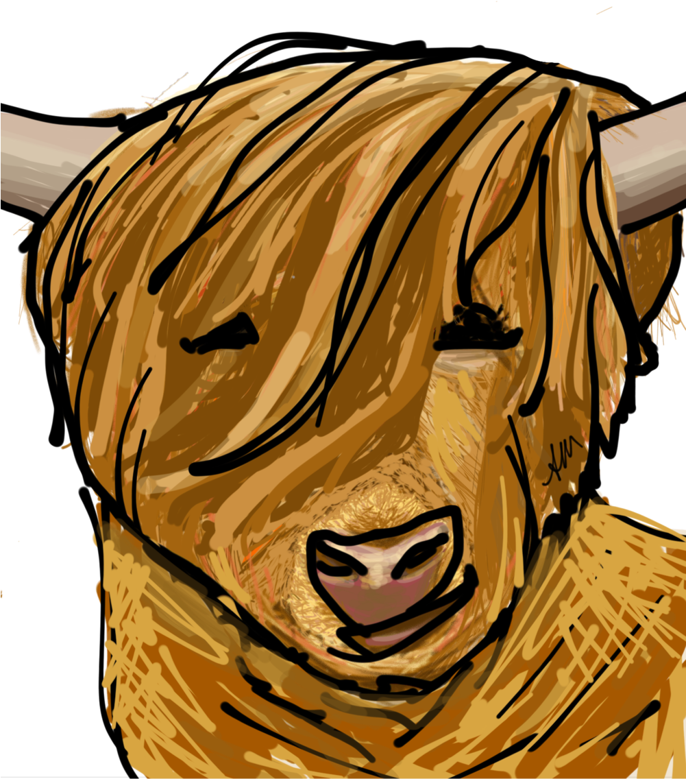 Harry The Highland Cow (1000x1255), Png Download