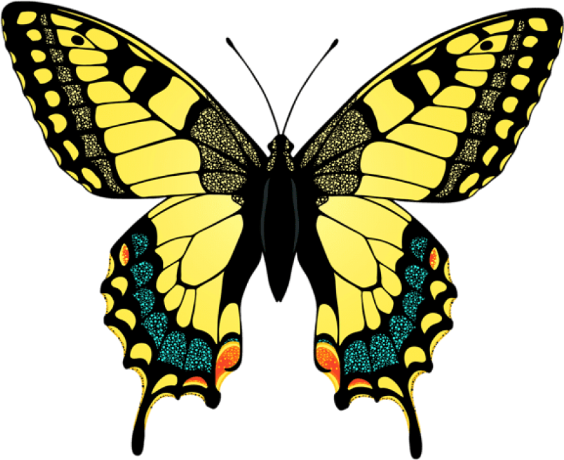 Free Png Download Yellow Butterfly Clipart Png Photo - Swallowtail Butterfly Clip Art (850x702), Png Download