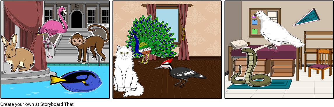 Girl Animal Drama - Cartoon (1164x385), Png Download