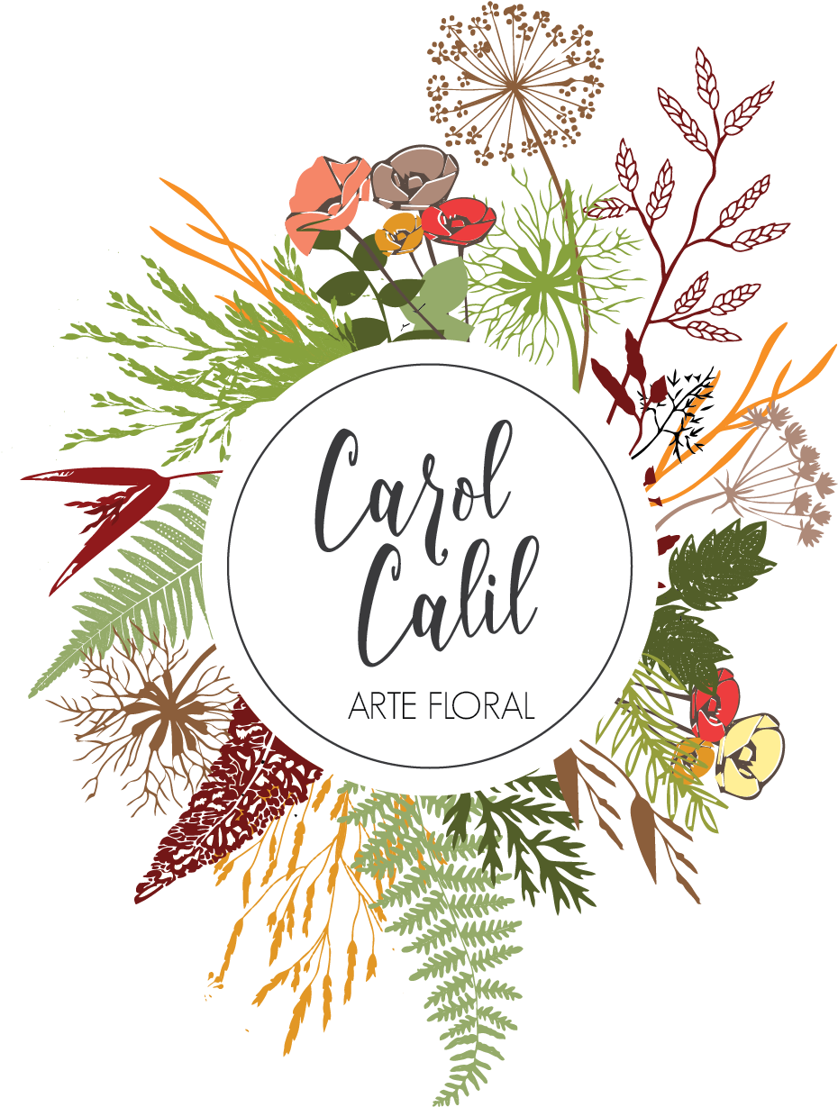 Illustration (1165x1648), Png Download