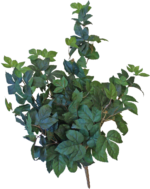 28” Soft Touch Maple Hanging Bush - Houseplant (550x691), Png Download