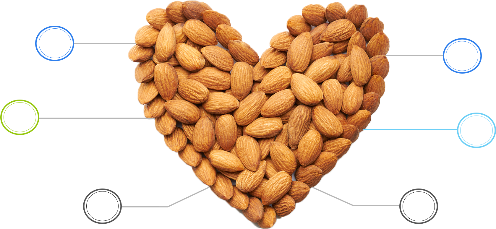 Benefits Of Almonds - Almond (2000x1000), Png Download