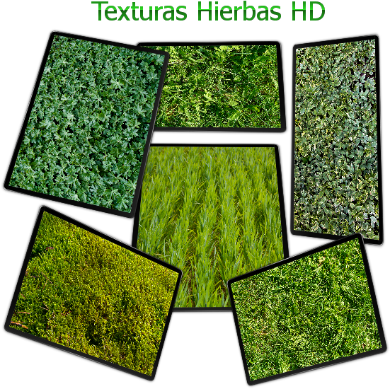 Contenido - - Nature Texture (553x565), Png Download