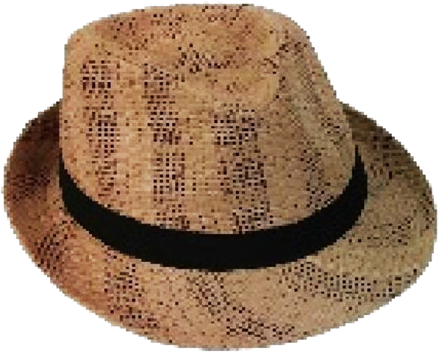 Fashion Hats Natural Straw Fedora With Black Belt (1000x842), Png Download