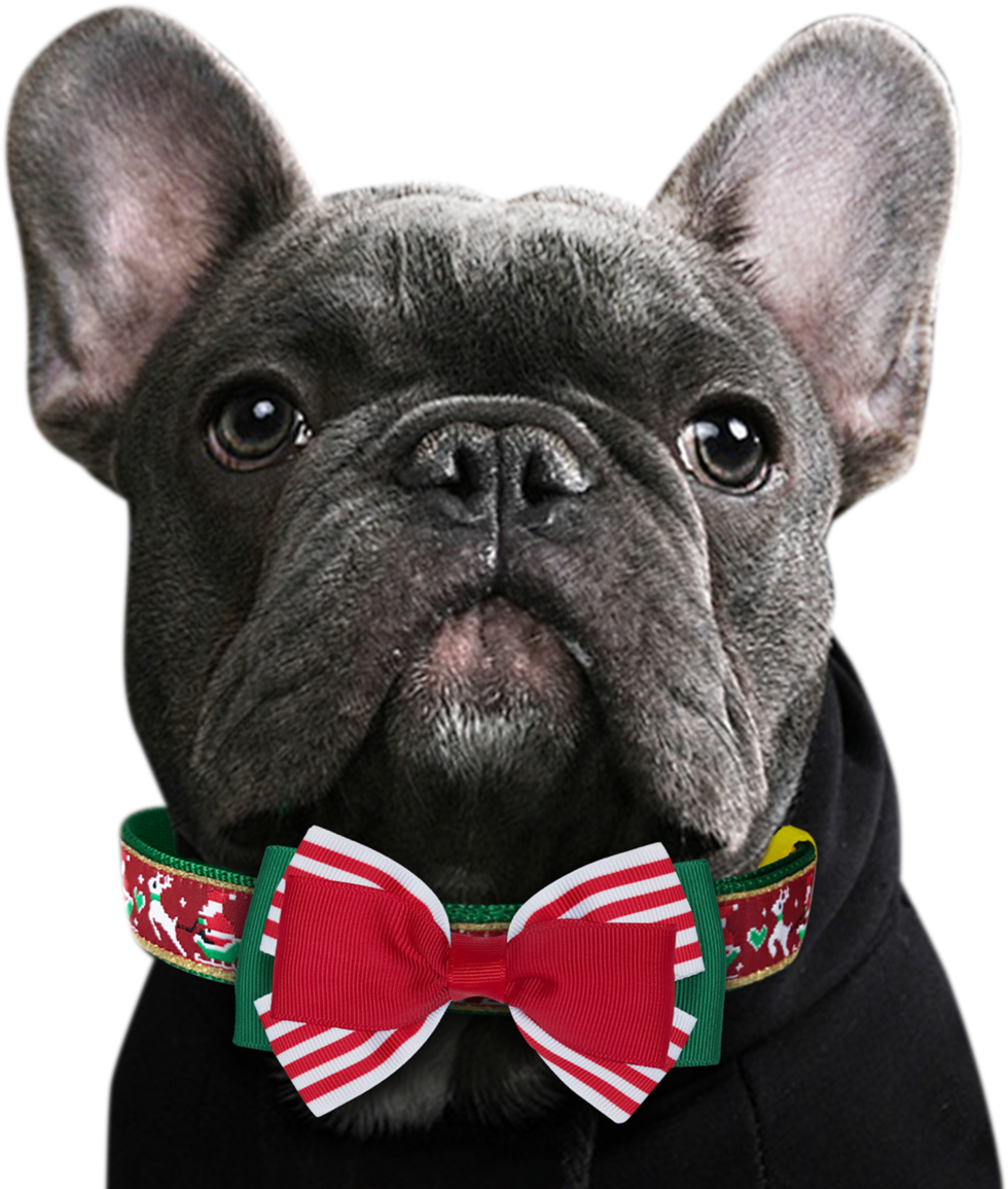 Clip Library Stock Bowtie Transparent Dog - French Bulldog (1200x1200), Png Download