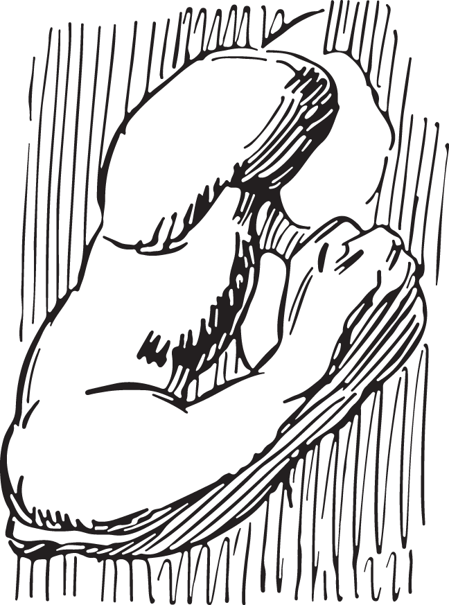 Line Art (648x873), Png Download